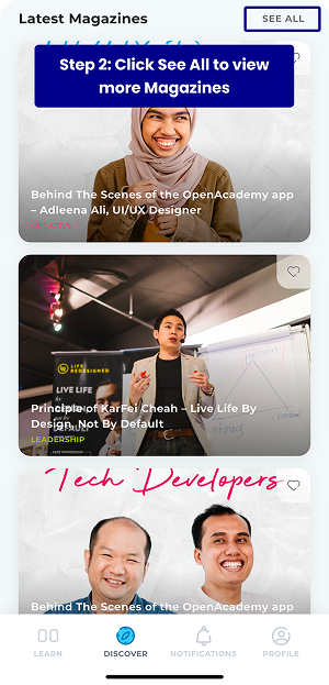 Howtoaccessmagazine 2