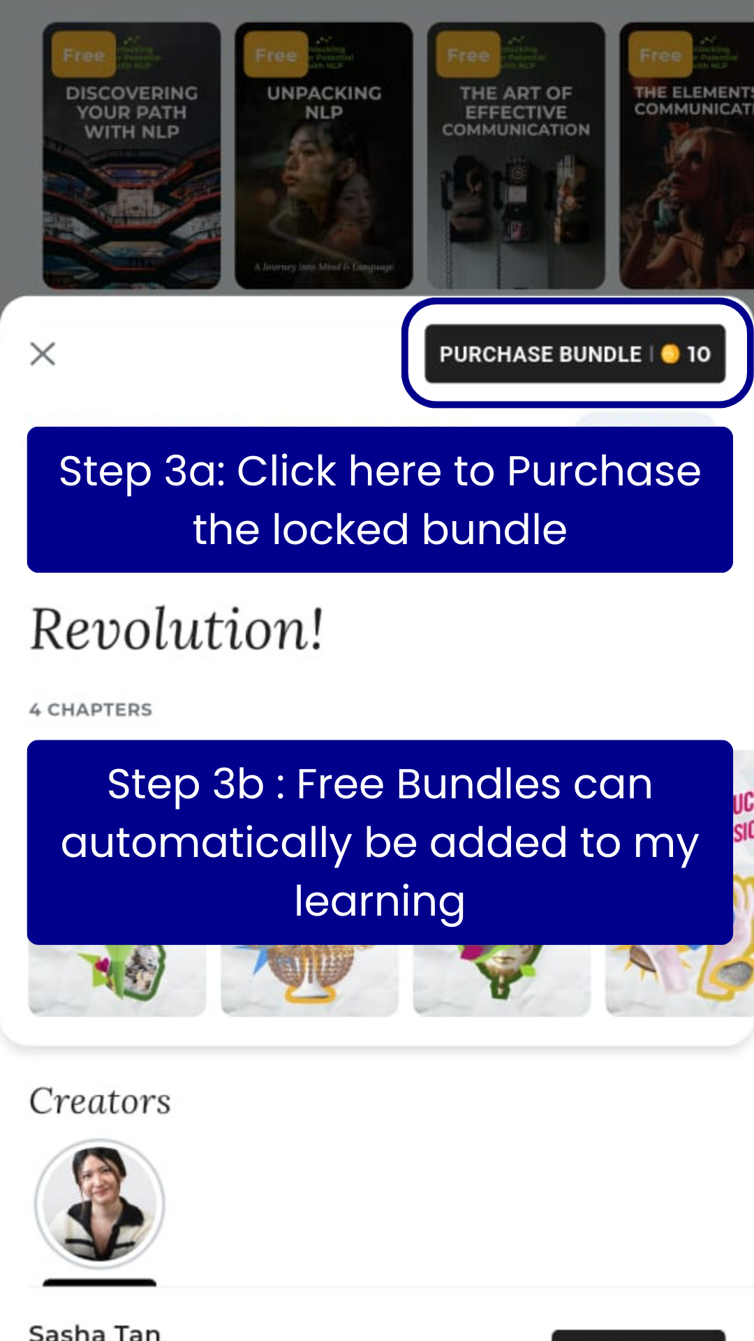 How To Access Bundle Step